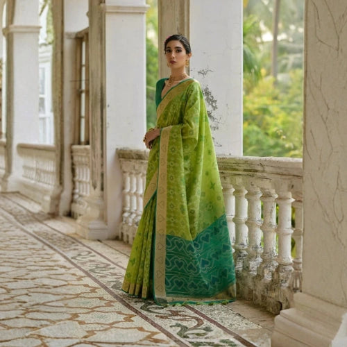 Pochampalli Heritage Raw Silk Saree