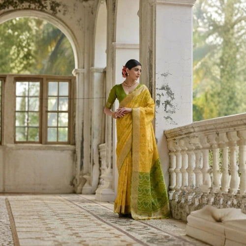 Pochampalli Heritage Raw Silk Saree