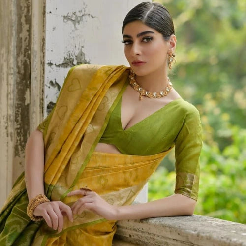 Pochampalli Heritage Raw Silk Saree