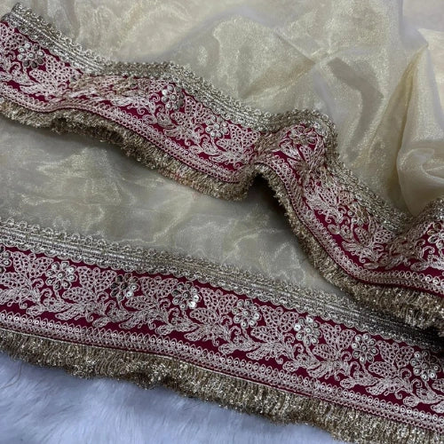 Noor-e-Zareen Twill Net Saree