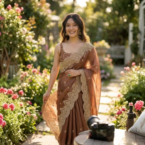 Noor Sequin Chiffon Saree