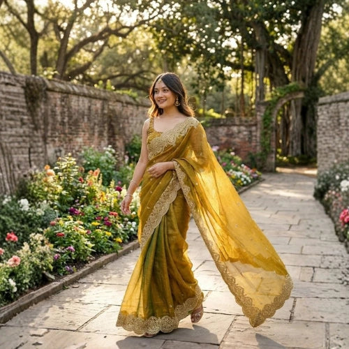 Noor Sequin Chiffon Saree