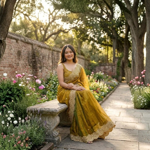 Noor Sequin Chiffon Saree