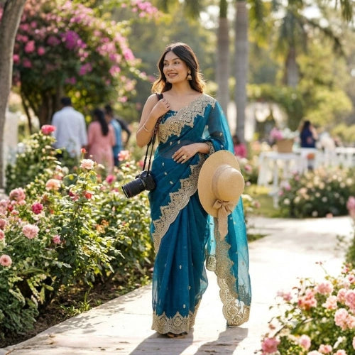 Noor Sequin Chiffon Saree