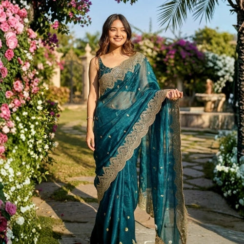 Noor Sequin Chiffon Saree